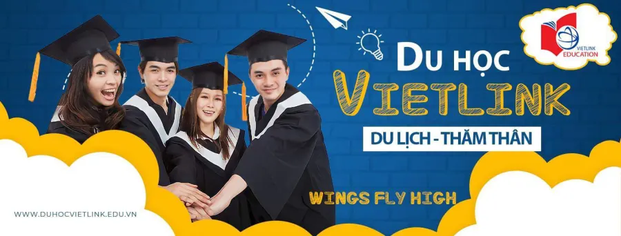 Trung tâm Vietlink Education Vietnam