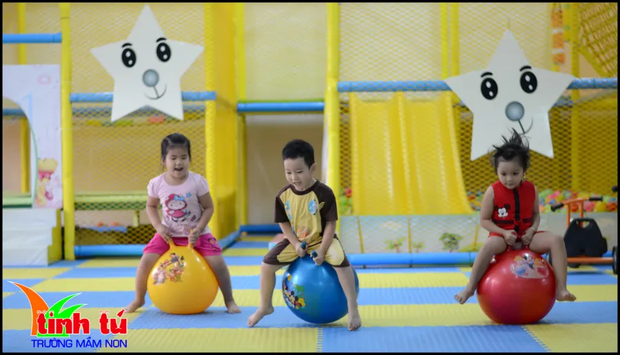Trường mầm non Tinh Tú
