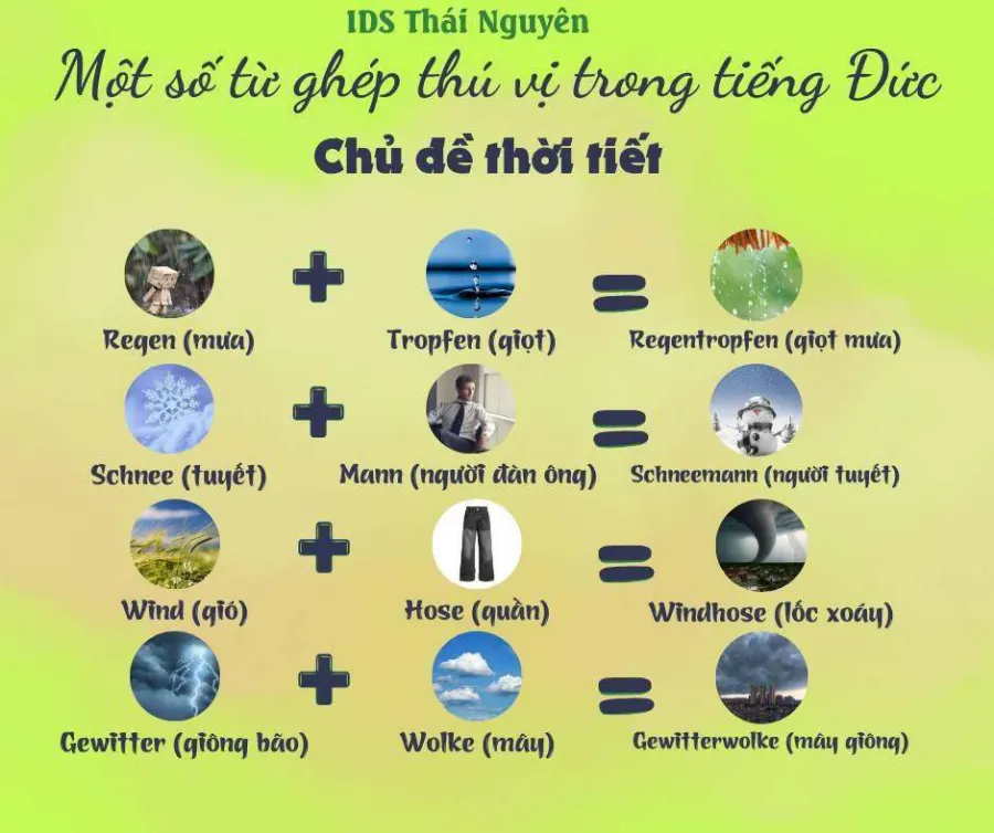 Trung tâm Ngoại Ngữ tiếng Đức Quốc tế IDS