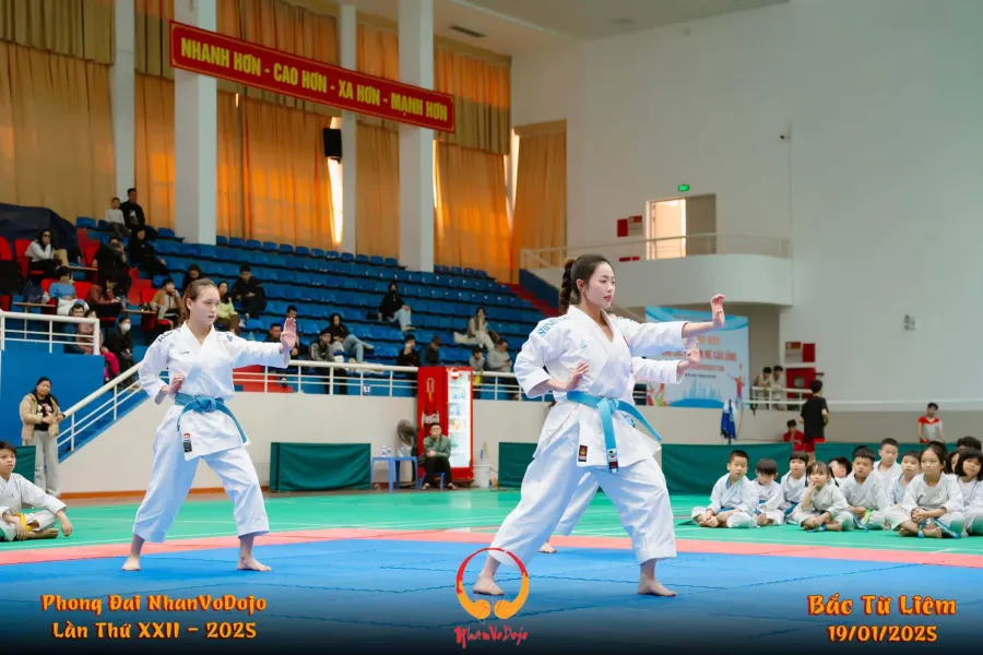 Hệ thống Võ Thuật Ngự Long
