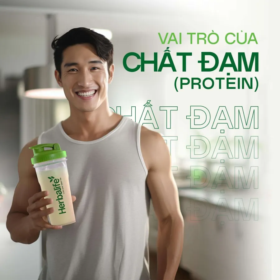 Trung tâm Fitcaree 66