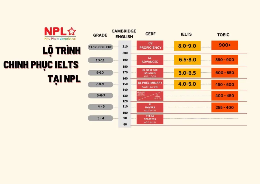 Trung tâm Ngoại Ngữ Như Phạm - Cơ sở 2