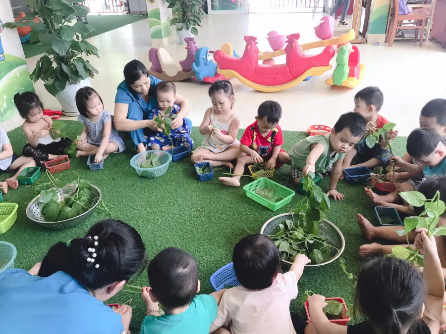 Trường mầm non Trúc Quỳnh - An Cư 3, Sơn Trà