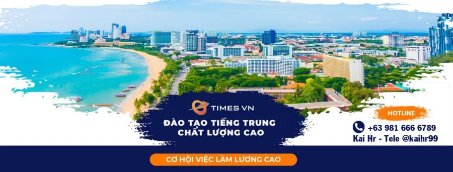 Trung tâm Tiếng Trung TIMES VN