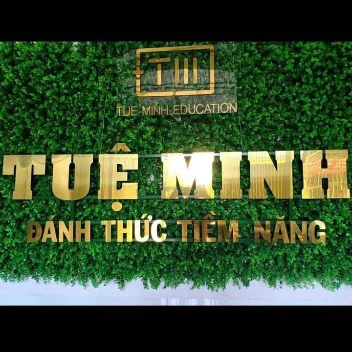Trung tâm Toán trí tuệ, Tiếng Anh và Kỹ năng sống Tuệ Minh