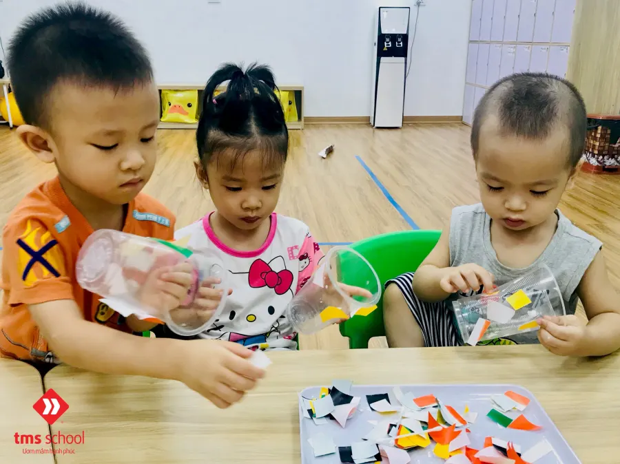 Trường mầm non TMS (TMS School)
