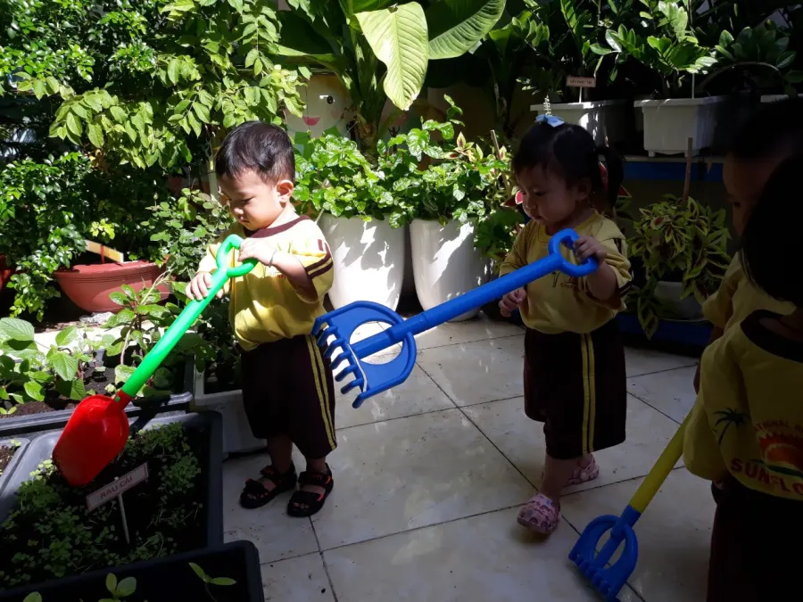 Trường mầm non Hoa Mặt Trời