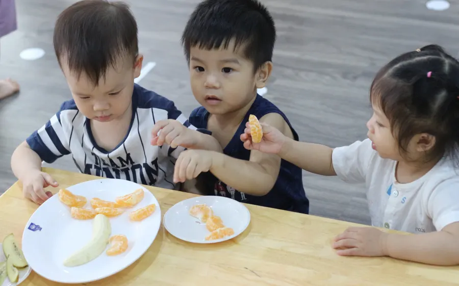 Trường mầm non Song ngữ Little Sol Montessori