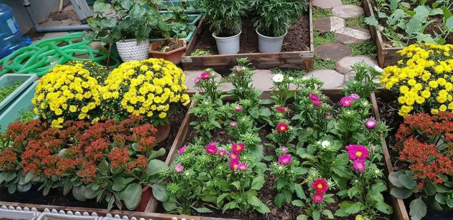 Trường mầm non Khang Nhi Montessori
