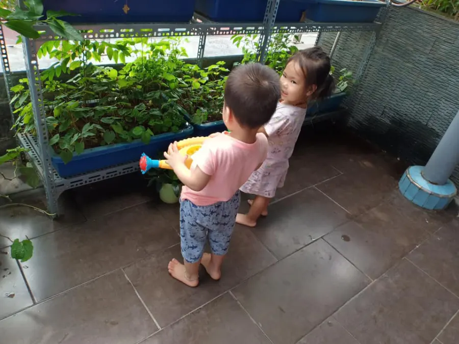 Trường mầm non Mimi House - Giảng Võ, Ba Đình