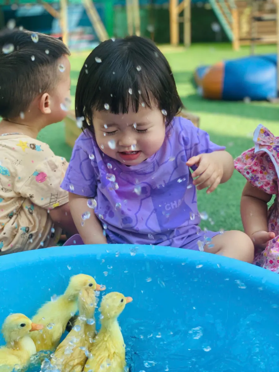 Mầm Non Cô Tiên Xanh