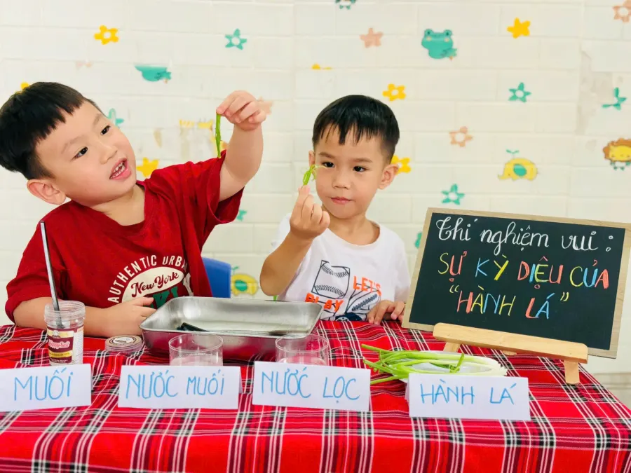 Lớp Mầm Non Việt Mỹ