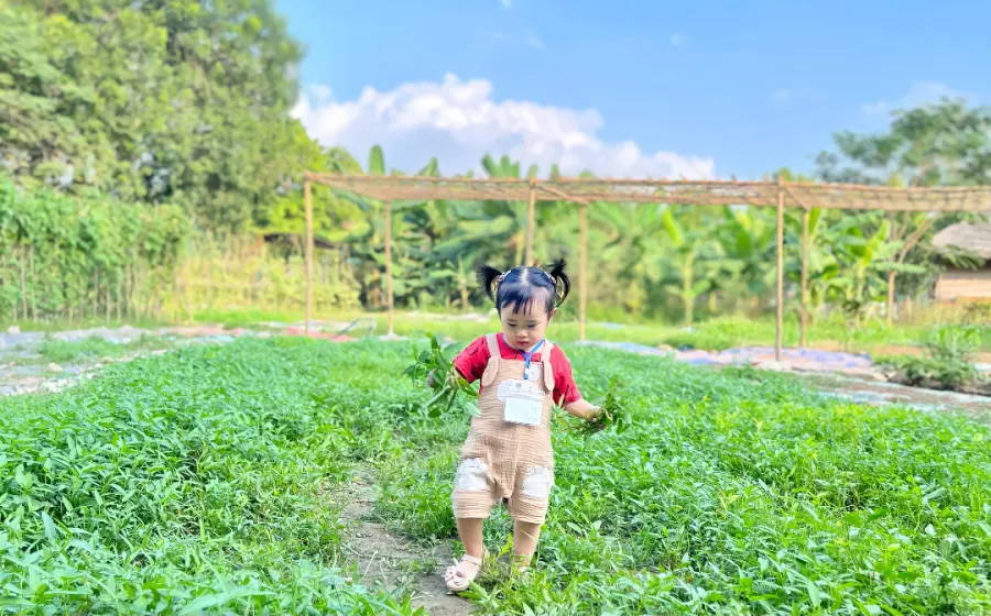 Trường mầm non Lá Phong Đỏ (Maple Leaf Academy)