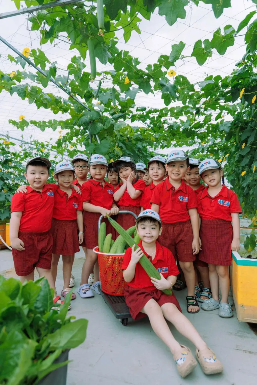 Trường Mầm Non Việt Úc (VASchool CanTho)