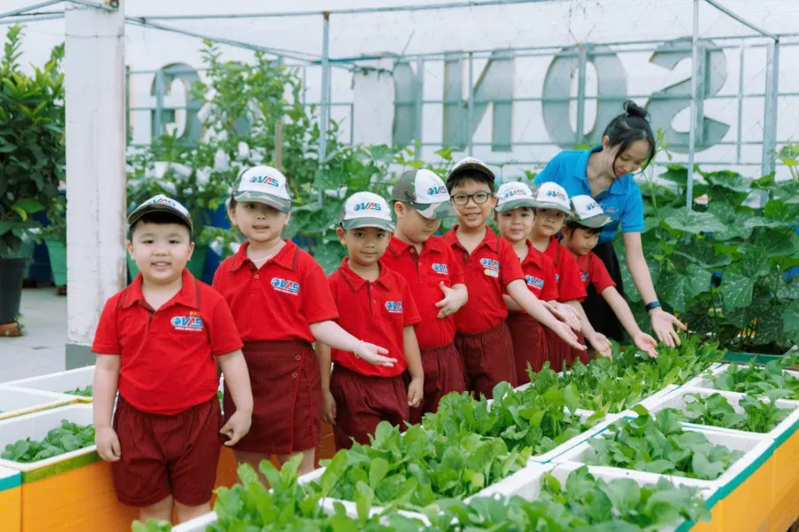 Trường Mầm Non Việt Úc (VASchool CanTho)