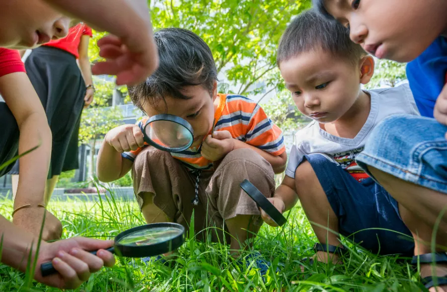 Trường mầm non đa trí thông minh TOMATO (TOMATO Multiple Intelligences Preschool) - Quận 9