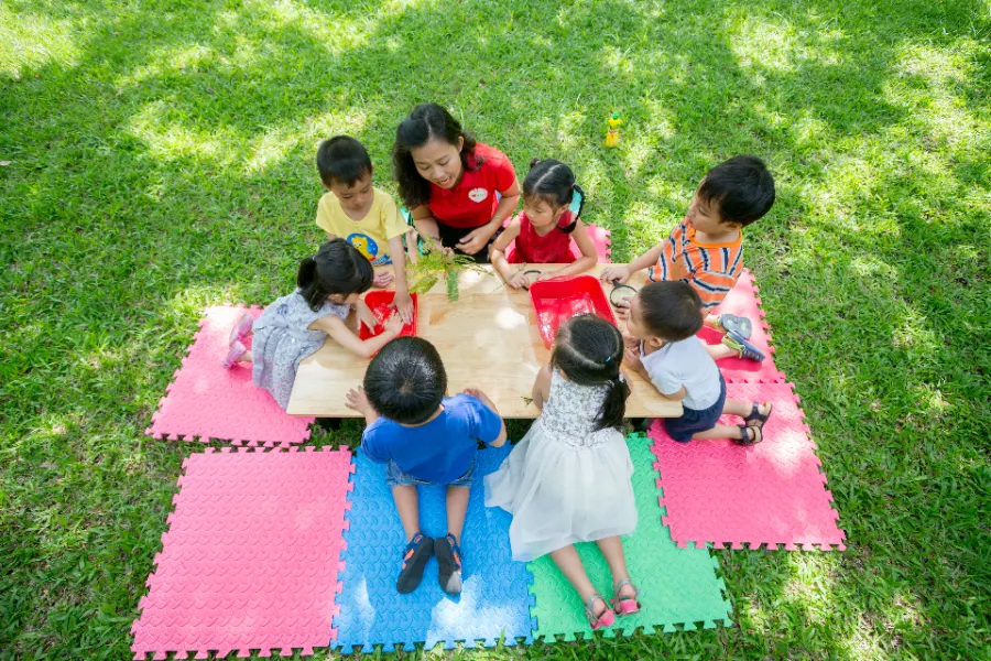 Trường mầm non đa trí thông minh TOMATO (TOMATO Multiple Intelligences Preschool) - Quận 9