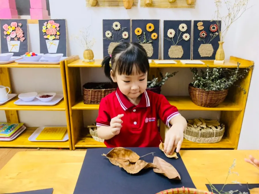 Trường Mầm Non Nice Kids - Mộ Lao, Hà Đông