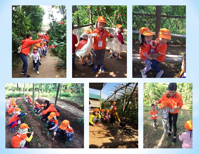 Trường mầm non VietKids Nam An Khánh