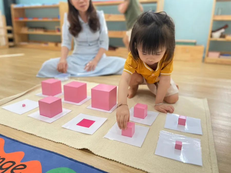 Mầm Non Khủng Long Con