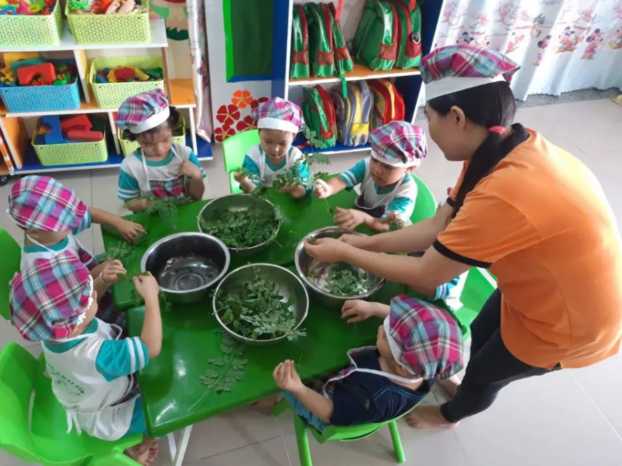 Mầm Non Khai Tâm