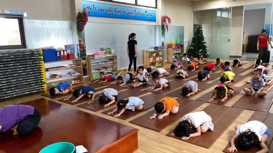Trường mầm non Hoa Trạng Nguyên - Đà Nẵng, Hải Phòng