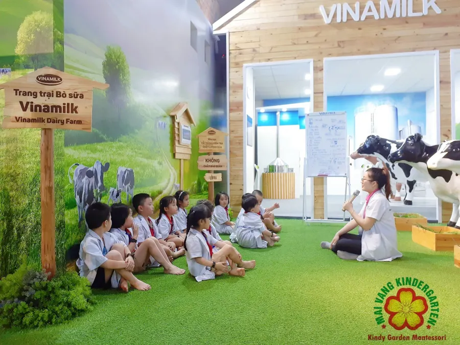 Trường Mầm Non Song ngữ ROB Kids - Campus Mai Vàng - P.Tân Quy - Q.7