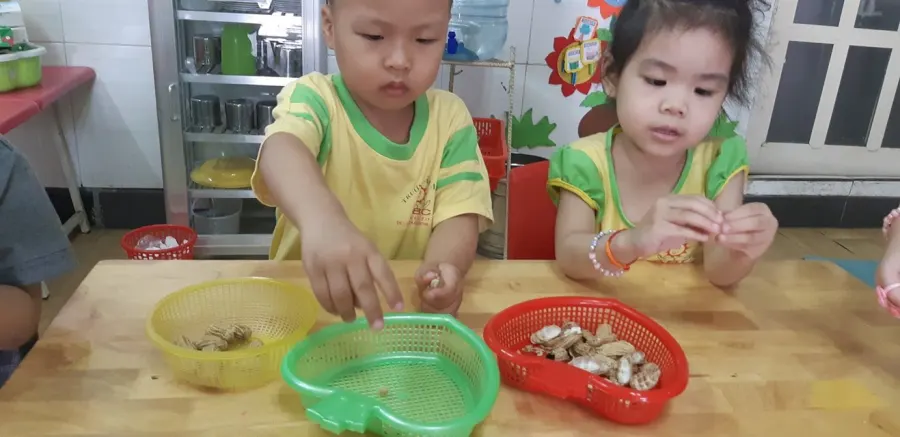 Trường Mầm non ABC - Phường 11