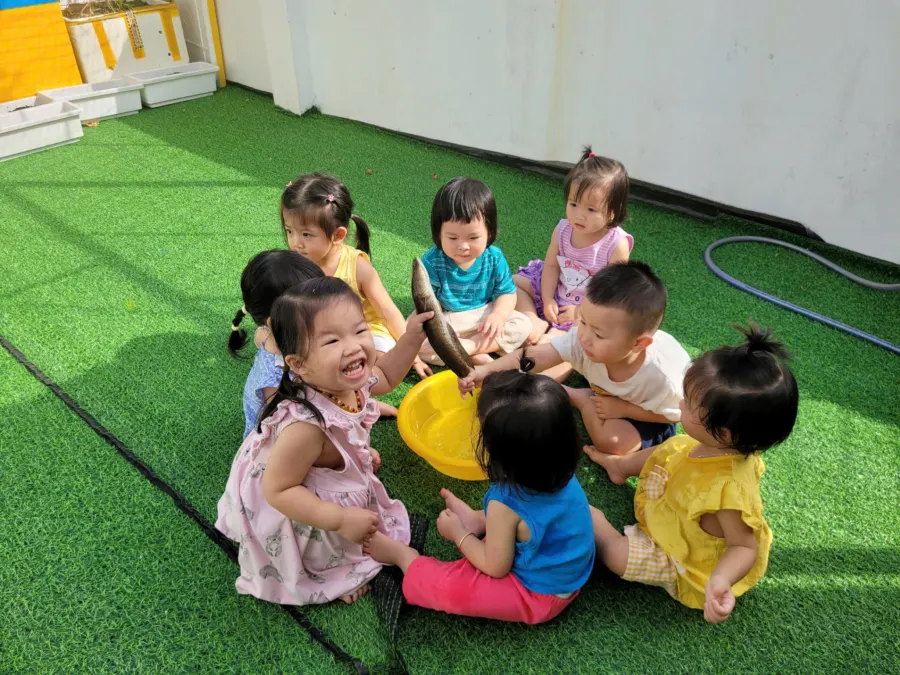 Hệ thống Mầm non Nhà thám hiểm Tí hon