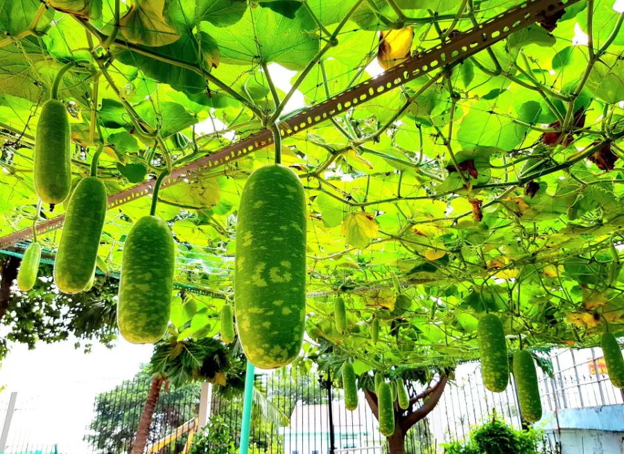 Trường Mầm Non Hải Âu