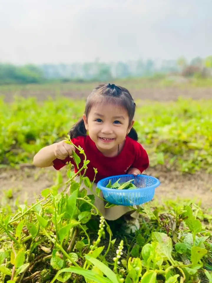 Mầm Non Happy Kids Kindergarten
