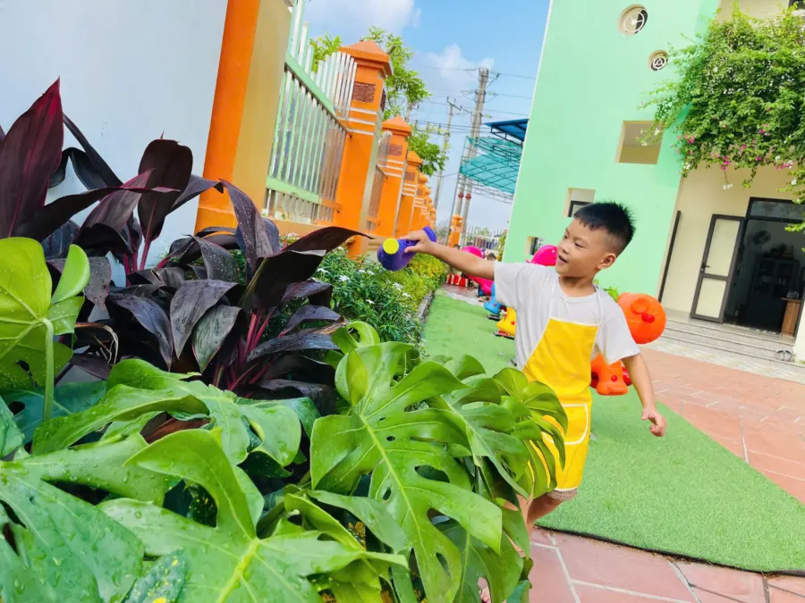 Mầm Non BaBy House - Tân Dương, Hải Phòng