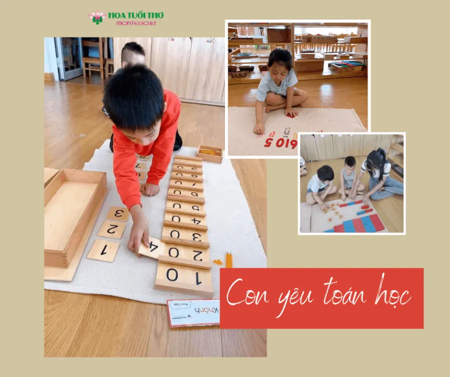 Trường mầm non Hoa Tuổi Thơ - Phan Đình Phùng