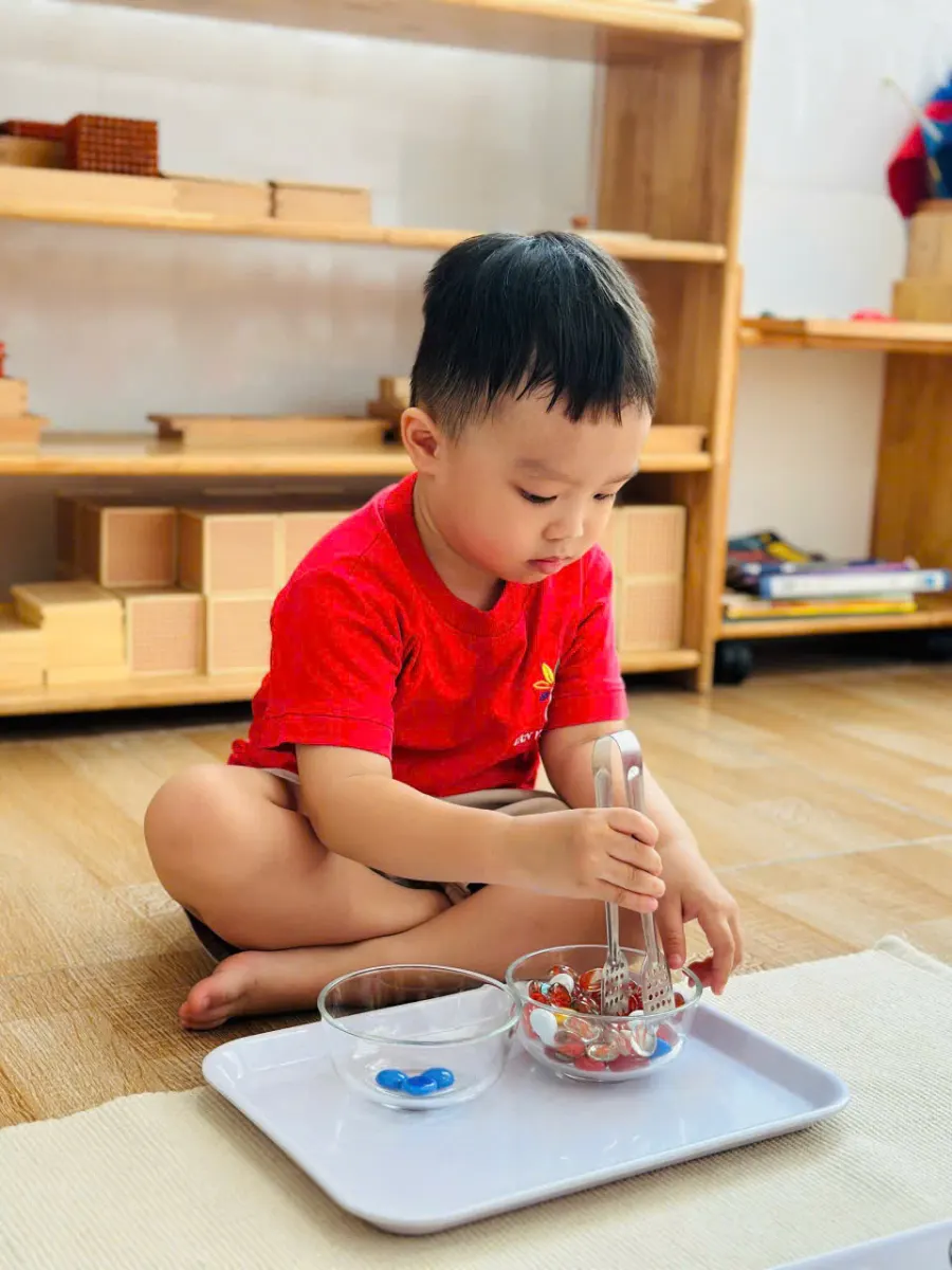 Trường Mầm Non Tân Việt Mỹ