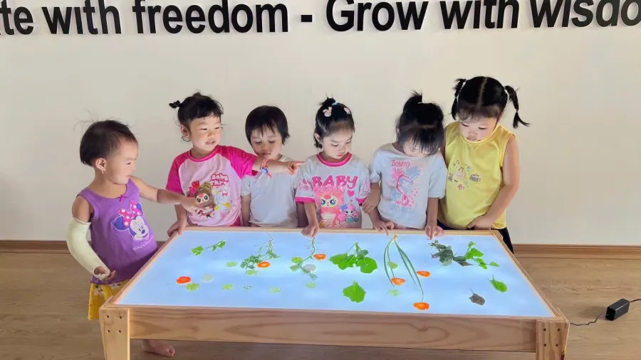 Trường Mầm Non Sao Mai Vĩnh Phúc
