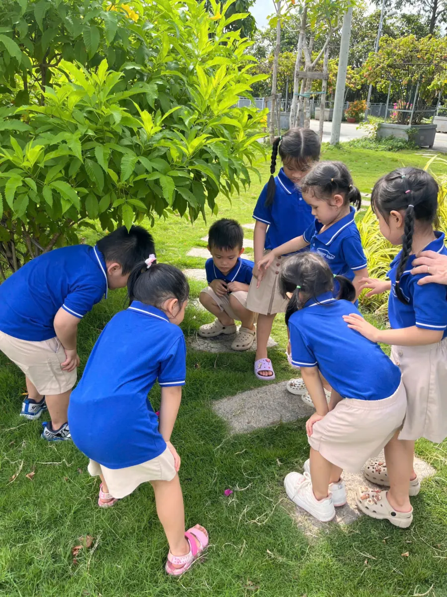 Mầm Non Bé Hạnh Phúc