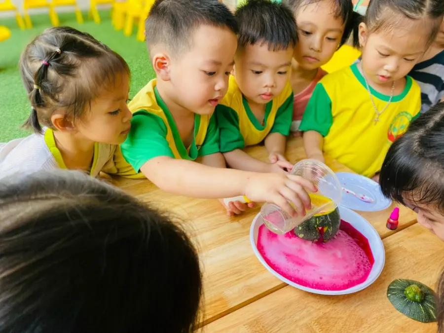 Trường Mầm Non Hải Dương - Biên Hòa