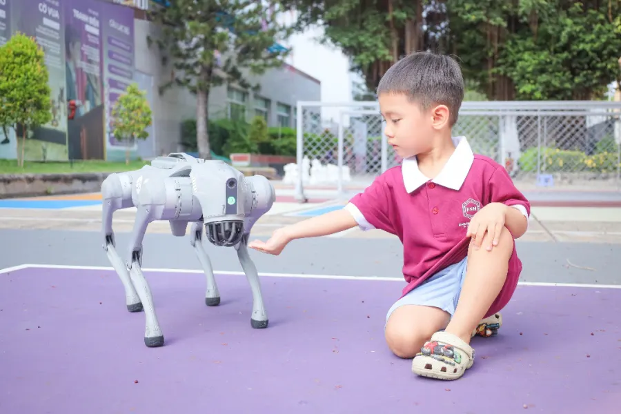 Trường Tiểu Học, Trung Học Cơ Sở, Trung Học Phổ Thông Einstein School HCM (ESH) - Xã Bình Hưng (Bình Chánh cũ)