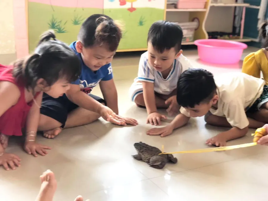 Nhóm trẻ Mầm Xanh