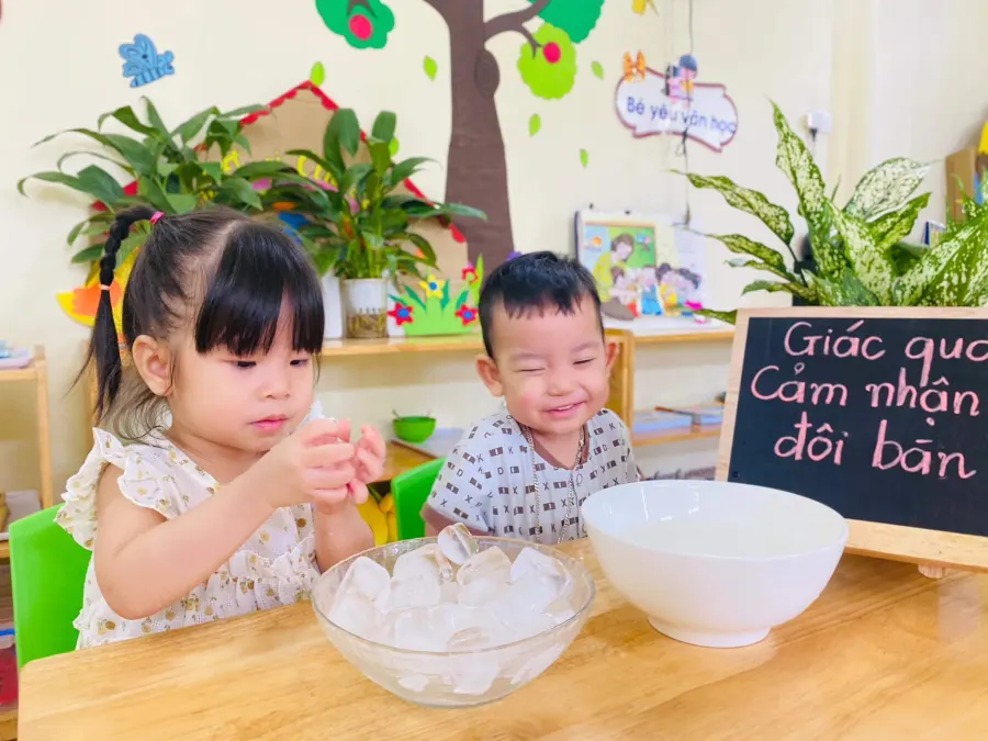 Trường Mầm Non Bông Mai
