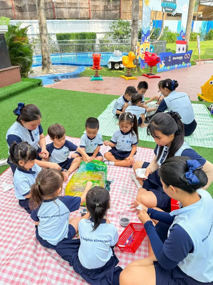 Trường mầm non Cá Heo Xanh (Blue Dolphin Kindergarten) - Thảo Điền