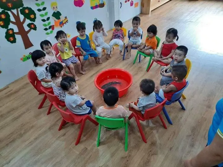 Mầm non Chắp Cánh Tương Lai (Future's Wings Preschool)