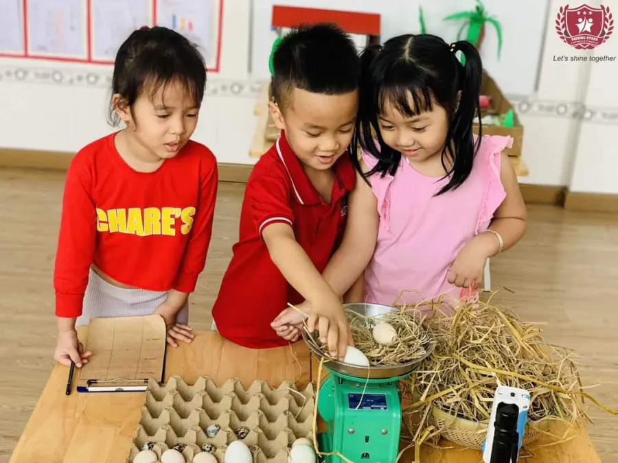 Trường Mầm Non Ngôi Sao Tuổi Thơ - Shiny Little Stars