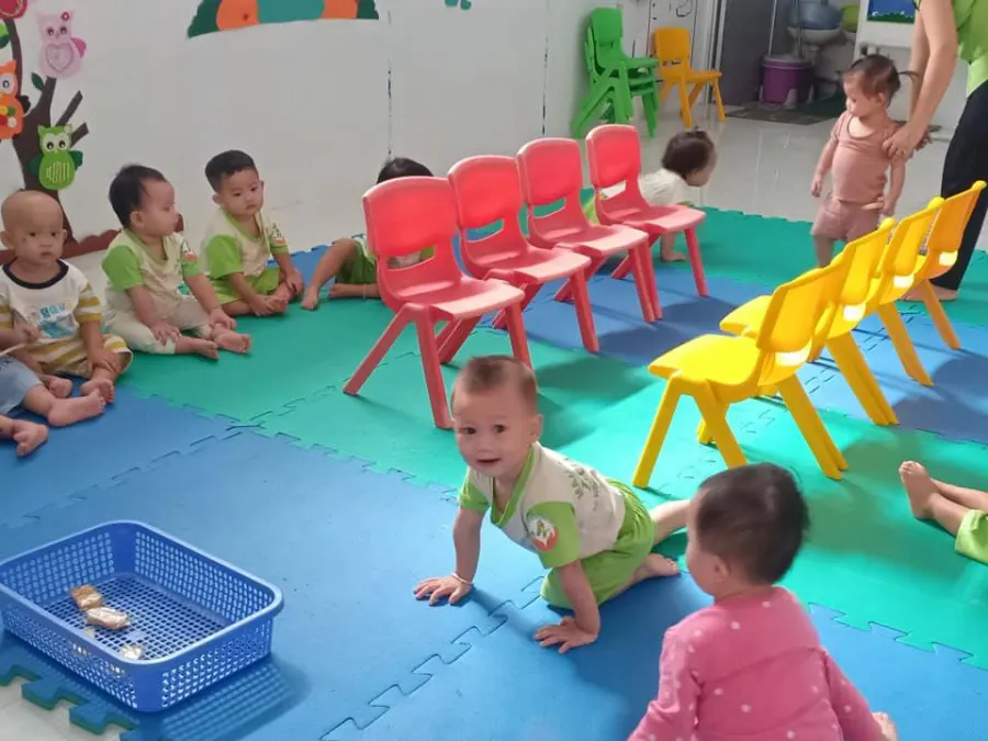 Trường mầm non tư thục Hoạ Mi