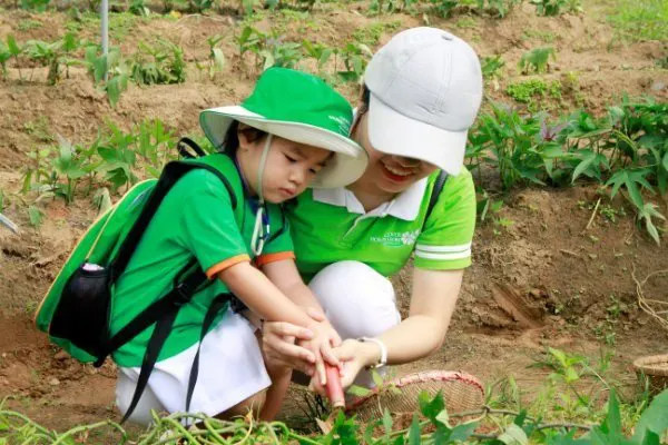 Trường mầm non Clover Montessori