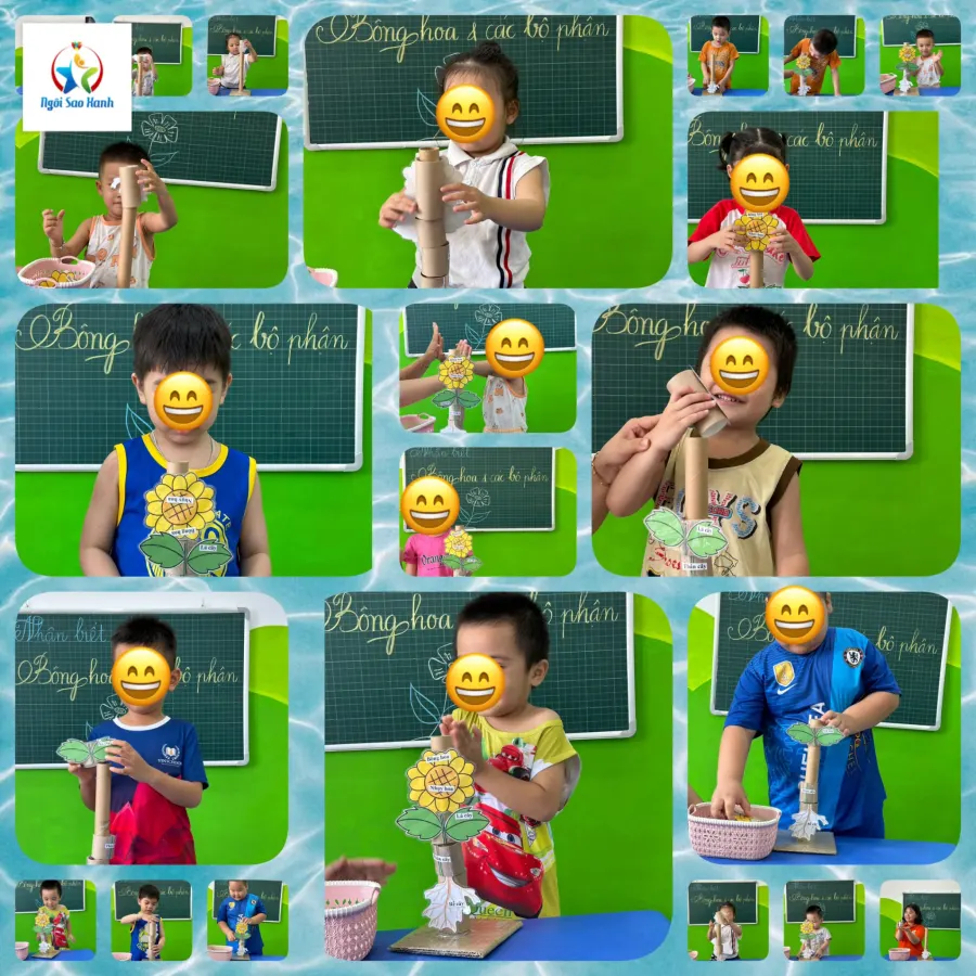 Trung Tâm Can Thiệp Sớm Ngôi Sao Xanh (Blue Star Education)