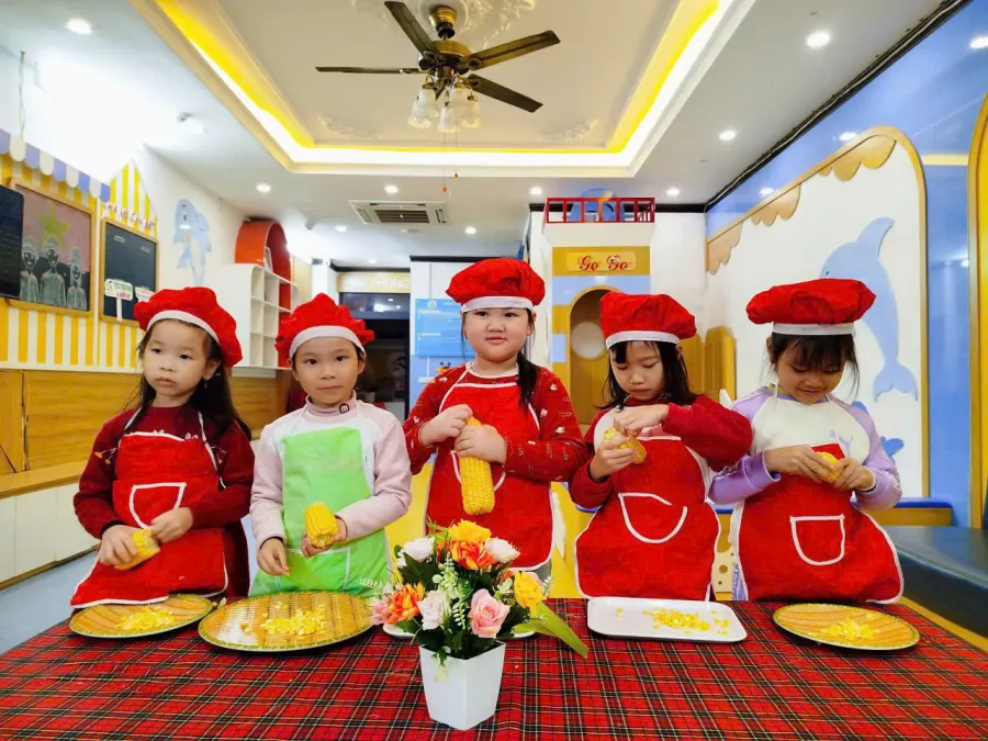 Trường mầm non Dolphin House - Vinhomes Hàm Nghi