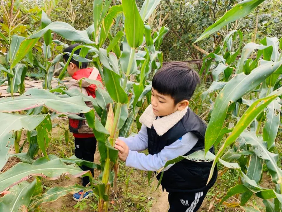 Mầm Non Song Ngữ Xuka - GrapeSEED Yên Khánh Ninh Bình