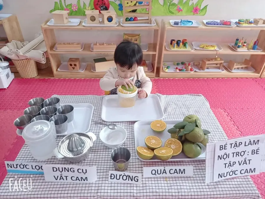 Trường mầm non Tuổi Thơ - Cơ sở Tuổi Thơ Văn Hương