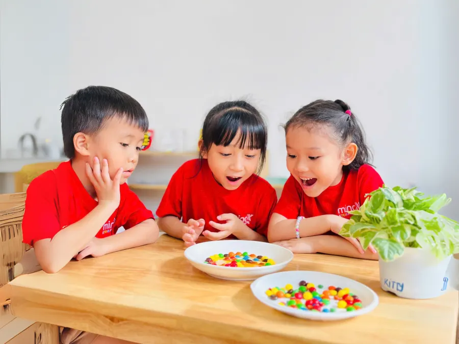 Hệ Thống Mầm Non MindX Preschool - CN Nguyễn Duy Trinh Quận 2